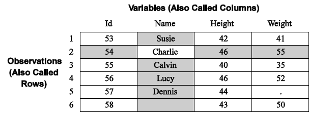 Dataset structure, variables and observations