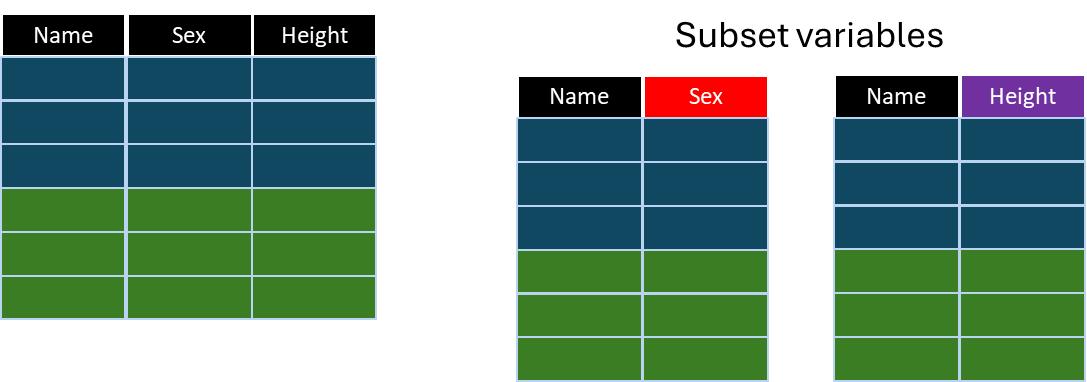 Subset variables from a dataset